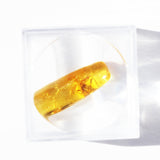 Baltic Amber insect inclusion 10