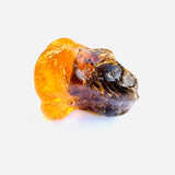 Polished Natural Amber2