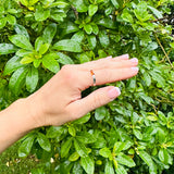 Amber Ring - Amber Band