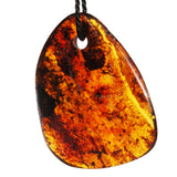 Honey or Grey Polished Baltic Amber Amulet
