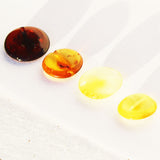 Polished Muliticolour Baltic Amber Discs Beads with holes