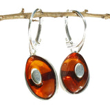 Individually Crafted Oval Portions of Amber Drop Earrings