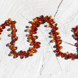 Baltic Amber Necklace - Full Carnival