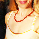 Baltic Amber Necklace - Full Carnival