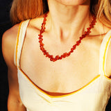 Baltic Amber Necklace - Full Carnival