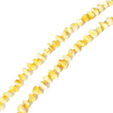Small Bead Roundish Amber Necklace