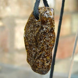Baltic Amber Talisman 17