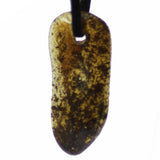 Baltic Amber Talisman 41