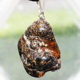 Baltic Amber Talisman 4