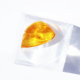 Baltic Amber insect inclusion 15