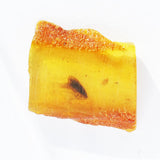 Baltic Amber insect inclusion 61