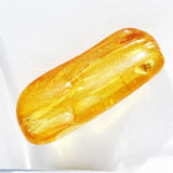 Baltic Amber insect inclusion 63