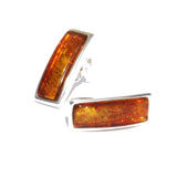 Oblong Green/Honey/Cherry/Lemon Amber Stud Earrings