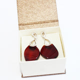 Honey or Cherry Amber Earrings with single large amber pieces