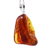 Amber Pendant Chunk 1