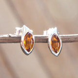 Baltic Amber Studs