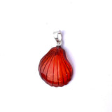 Romantic Baltic Amber Shell Pendant