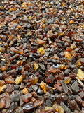 Unpolished Amber Beads Without Holes - Dark Shades