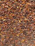 Unpolished Amber Beads Without Holes - Cognac