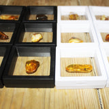 Polished Natural Amber (black box)