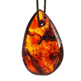 Honey or Grey Polished Baltic Amber Amulet