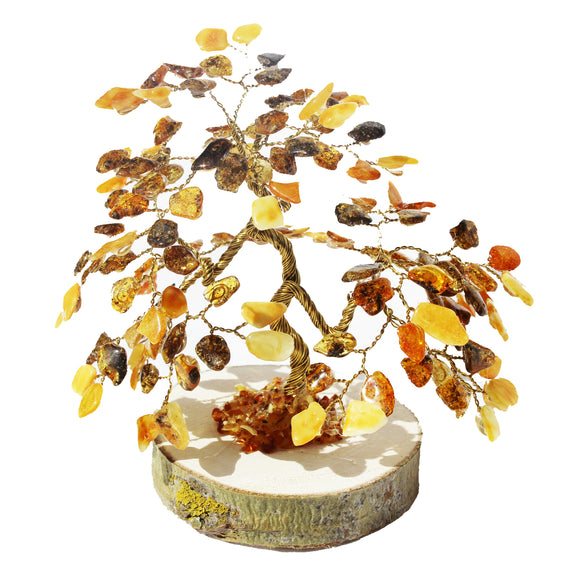 Amber Tree