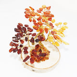 Amber Tree - BONSAI (135 amber leaves)