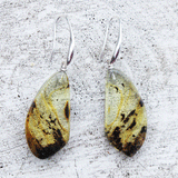 Large Lemon with inclusions Amber Sets - Slices