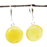 Baltic Amber Discs Earrings