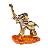 Baltic Amber Statue - Wild Pig