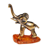 Baltic Amber Statue - Wild Pig