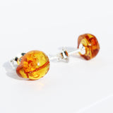 Honey Baltic Amber Studs - Ladybirds