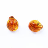 Honey Baltic Amber Studs - Ladybirds