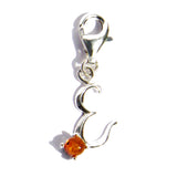 Amber Alphabet Initial Charms