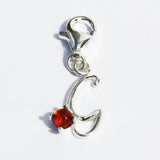 Amber Alphabet Initial Charms