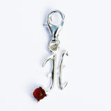 Amber Alphabet Initial Charms