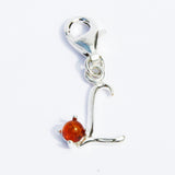 Amber Alphabet Initial Charms