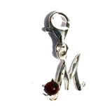 Amber Alphabet Initial Charms