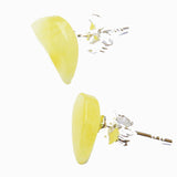 Baltic Amber Stud Earrings - Moons