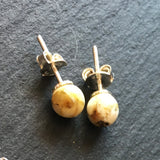 Baltic Amber Dalmatian Pattern Earrings