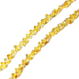 Classic Small Amber Bead Necklaces