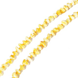 Classic Small Amber Bead Necklaces