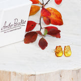 Honey Amber Studs - Owls