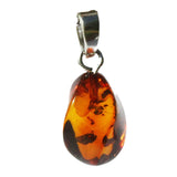 Baltic Amber Pendant - Twist