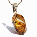 Baltic Amber Pendant - Twist