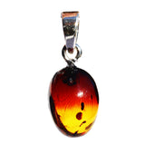 Baltic Amber Drop/Oval Pendant - RAINBOW