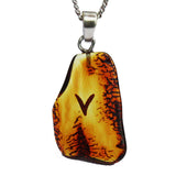 Beautiful & Unique Baltic Amber Zodiac Pendants
