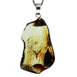 Beautiful & Unique Baltic Amber Zodiac Pendants