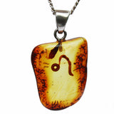 Beautiful & Unique Baltic Amber Zodiac Pendants
