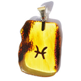 Beautiful & Unique Baltic Amber Zodiac Pendants